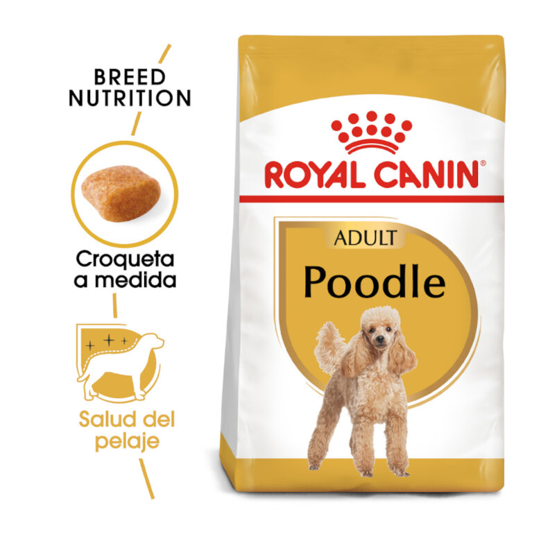 Royal Canin Adult Poodle ração para cães,  Imagem número 2 Royal Canin Adult Poodle ração para cães, , large Imagem número 2